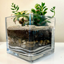 Load image into Gallery viewer, Terrarium Workshop: 3/5/25