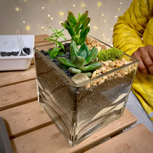 Load image into Gallery viewer, Terrarium Workshop: 3/5/25