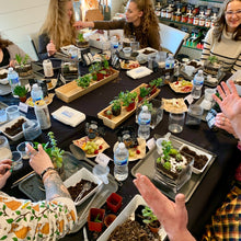 Load image into Gallery viewer, Terrarium Workshop: 3/5/25