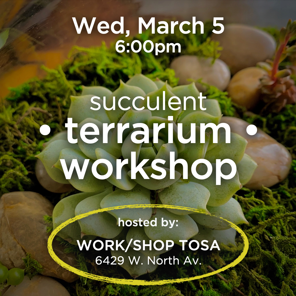 succulent terrarium workshop Terrarium Workshop: 3/5/25