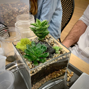 Terrarium Workshop