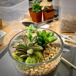 succulent building workshop Terrarium Workshop: 3/5/25